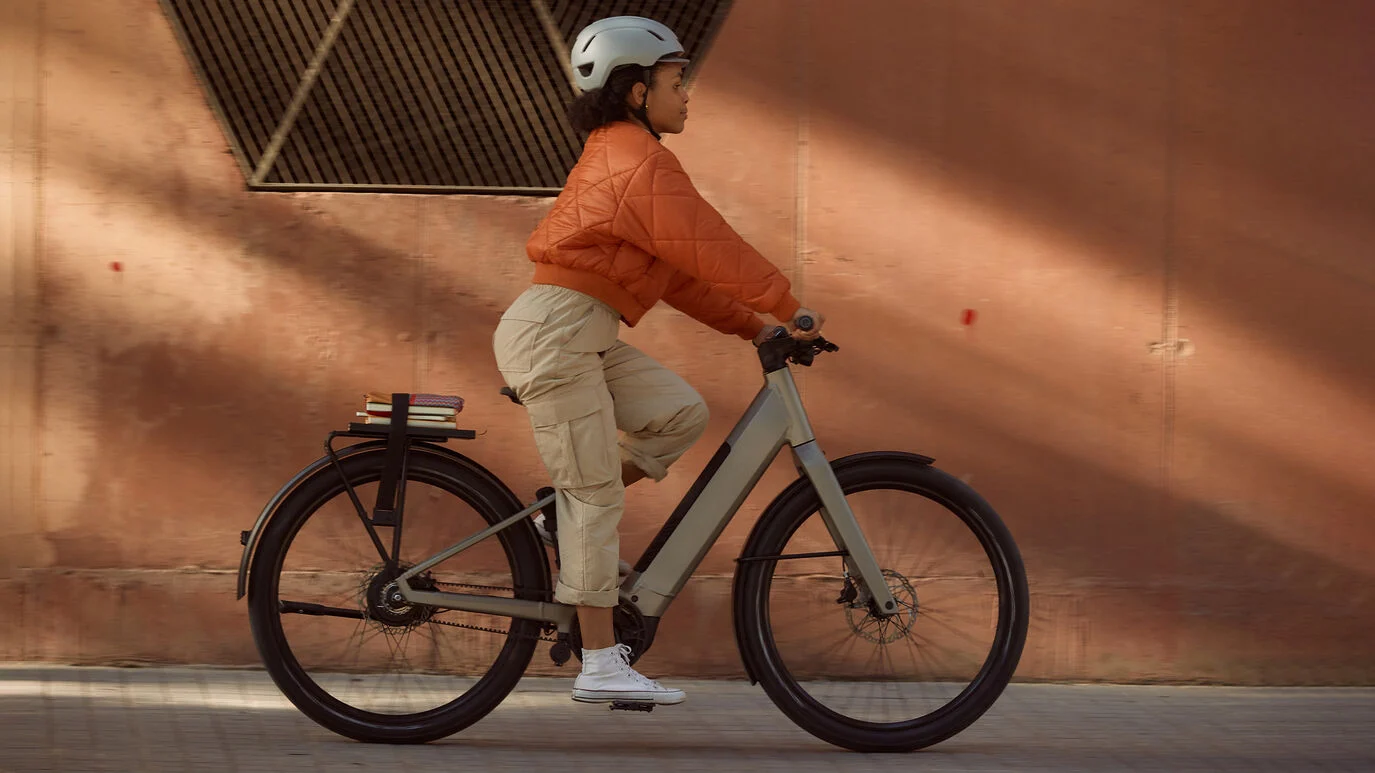 Bosch — AI Companion case